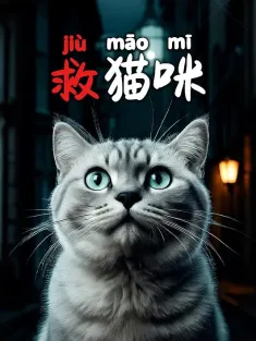 救猫咪 2025 meet the cat
