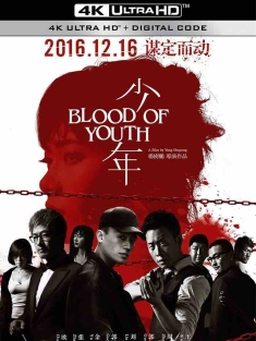 少年 (2016) Blood of Youth [中国大陆]豆瓣: 5.7