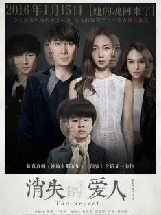 消失爱人 2016 消失的爱人(港)/看不见的秘密/The Secret