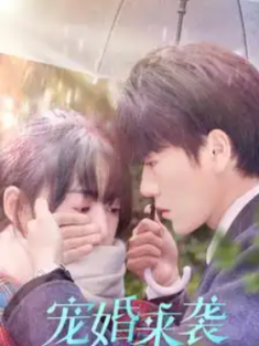 短剧《宠婚来袭》(102集) 网盘在线观看