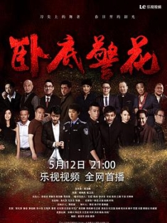 卧底警花 (2023) / 4K.UHD.2160P（阿里云盘资源）