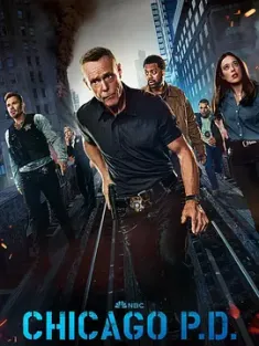 芝加哥警署  Chicago P.D. 1-12季 (2024) 芝加哥警局/美国/豆瓣: