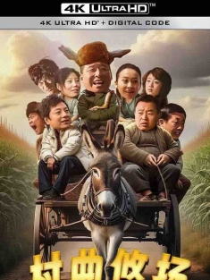 村曲悠扬 (2024) /中国大陆/豆瓣: