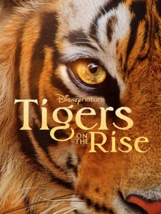 老虎崛起 Tigers on the Rise (2024)