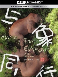 与象同行 (2022) March of the Elephants