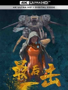 最后一击 (2024) /中国大陆/豆瓣: