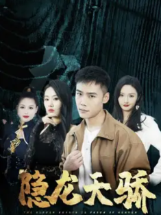 短剧《隐龙天骄&龙凤天骄》(80集) 网盘在线观看