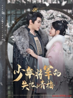 《少年将军的失忆小青梅》短剧高清全集免费在线观看播放完整版