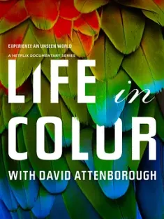 生命之色 Attenboroughs.Life.in.Colour.S01.2160p.WEBRip.x265.10bit.HDR.HLG...