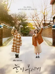 耀眼 눈이 부시게 (2019) 如此耀眼/Dazzling/The Light in Your Eyes/韩国/豆瓣: 9.0