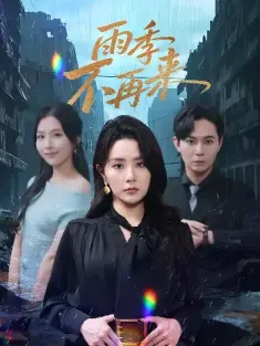 雨季不再来（65集）