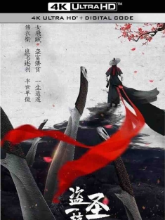 盗圣一枝梅 (2021) Thief Female Hero/Thief Heroine/中国大陆/豆瓣:
