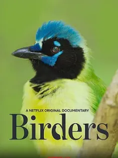 观鸟者 Birders 2019 候鸟守护者（台）/观鸟无国界（港） [美国/墨西哥] 豆瓣：7.3
