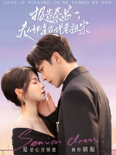 《报告秦总夫人她是古代老祖宗》短剧高清全集免费在线观看播放完整版