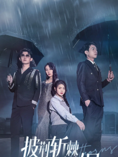 短剧《披荆斩棘的婚姻》(70集) 网盘在线观看