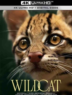 野猫 Wildcat (2022) / 4K纪录片下载 / Wildcat.2022.2160p.AMZN.WEB-DL.x265.10bit.HDR10Plus.DDP5.1-FLUX