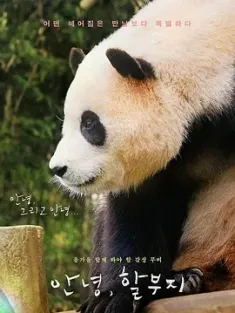 再见，福宝 안녕，할부지 (2024) 再‧见熊猫福宝(港)/再见，福宝(台)/嗨，爷爷 [韩国]豆瓣: 7.5