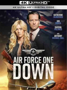 空军一号坠落 Air Force One Down (2024) / 4K电影下载 / Air.Force.One.Down.2024.2160p.AMZN.WEB-DL.DDP5.1.H.265-FLUX[TGx]