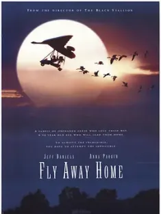 伴你高飞 Fly Away Home 1996 返家十万里/飞向故乡/回南 [美国] 豆瓣：8.8
