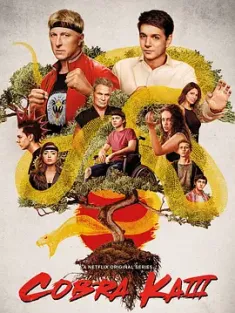 眼镜蛇 第三季 Cobra.Kai.S03.2160p.NF.WEB-DL.x265.10bit.SDR.DDP5.1