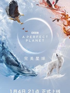 完美星球 A Perfect Planet (2021) / A.Perfect.Planet.S01.2160p.BluRay.REMUX.HEVC.DTS-HD.MA.TrueHD.7.1.Atmos-FGT