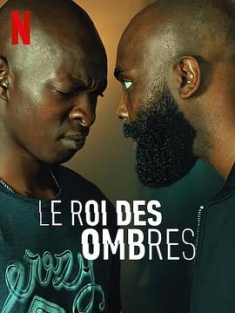 在他的阴影下 Le Roi des Ombres (2023) / In His Shadow / In.His.Shadow.2023.FRENCH.2160p.NF.WEB-DL.x265.10bit.HDR.DDP5.1.Atmos-CEBEX
