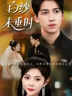 老婆婚礼，我当证婚人&老婆婚礼我当证婚人&白纱未垂时（54集）钟煜霖&陆碧霄