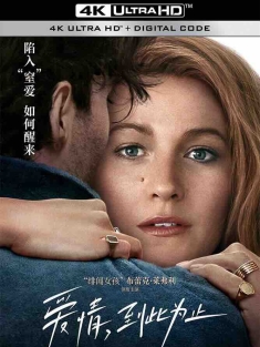 爱情，到此为止 It Ends with Us (2024) 痛爱完成式(港)/到我们为止(台)/以我们结束/美国/豆瓣: 6.3