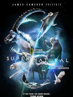 超凡动物奇观 Super/Natural (2022) / 超/自然 / 超级/自然 / 4K.UHD.2160P / 阿里云盘资源