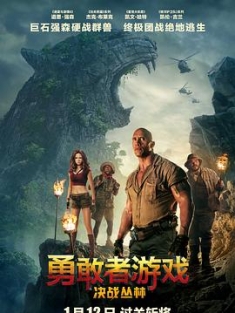 勇敢者游戏：决战丛林 Jumanji.Welcome.To.The.Jungle.2017.2160p.BluRa...