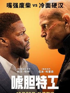 唬胆特工/多伦多来的男人/换命大龙凤(港)/来自多伦多的男人/玩命大临演(台)/ The.Man.from.Toronto.2022.2160p.NF.WEB-DL.x265.10bit.HDR.DDP5.1....