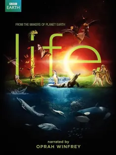 生命 Life 2009 BBC：生命/生命脉动