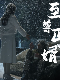 短剧《至尊丐婿》(91集) 网盘在线观看