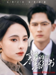 《亲爱的楼秘书》短剧高清全集免费在线观看播放完整版