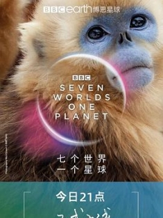 七个世界，一个星球 Seven.Worlds.One.Planet.S01.2160p.UHD.GBR.BluRay....