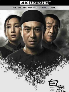 白鹿原 (2017) / 白鹿原电视剧版 / White Deer Plain / 4K电视剧下载