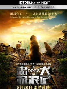 忠犬流浪记 (2021) A Dog's Tale/中国大陆/豆瓣: 5.3