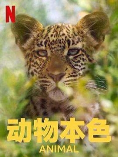 动物本色 第二季 Animal Season 2 (2022) / 动物大搜秘 / 海陆空动物王者 / Animal.2021.S02.2160p.NF.WEB-DL.x265.10bit.HDR.DDP5.1.Atmos-HONE[rartv]