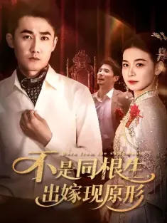 不是同根生出嫁现原形（60集）