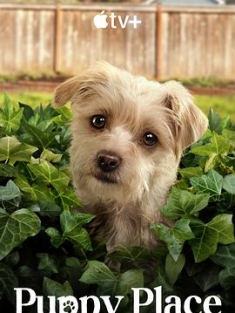 狗狗天地 第二季 Puppy.Place.S02.2160p.ATVP.WEB-DL.DDP5.1.Atmos.DV.MKV....