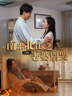 短剧《南来北往之老婆别哭》(87集) 网盘在线观看
