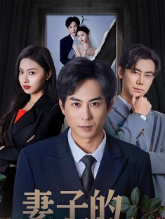 《妻子的骗局》短剧高清全集免费在线观看播放完整版