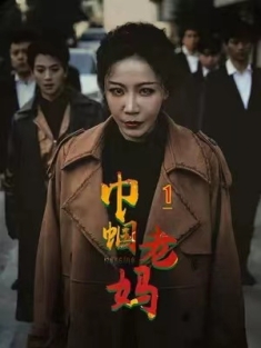 短剧《巾帼老妈》(87集) 网盘在线观看