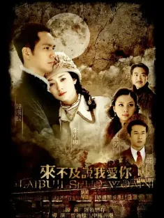 来不及说我爱你 2010 It's Too Late to Say I Love You/碧甃沉