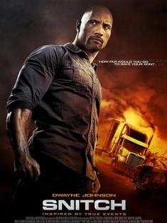 告密者 Snitch (2013) / 毒火线(港) / 限时翻供(台) / Snitch 2013 Hybrid 2160p UHD Blu-ray Remux HEVC DoVi HDR TrueHD 7 1 Atmos