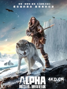 《阿尔法：狼伴归途 Alpha 2018》驯狼纪(港)/极地之王(台)/阿尔法