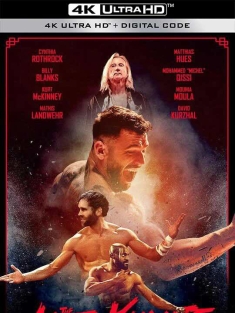 绝杀招式 The Last Kumite (2024)