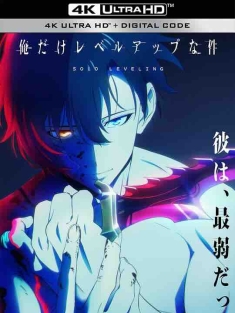 我独自升级 俺だけレベルアップな件 (2024) / 나 혼자만 레벨업 / Solo Leveling / 4K动画片下载