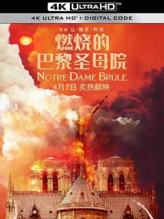 燃烧的巴黎圣母院 Notre-Dame brûle (2022) / 巴黎圣母院：火海奇迹(港) / 圣母院大火：世纪浩劫(台) / Notre-Dame Is Burning / Notre-Dame On Fire / 4K电影下载 / Notre.Dame.on.Fire.2022.BluRay.2160p.TrueHD7