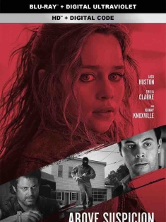 双面疑云 Above Suspicion 2019 致命疑云/危险线人(台)[美国]豆瓣: 5.9